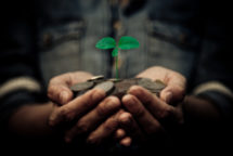 Cultivating a Spirit of Generosity
