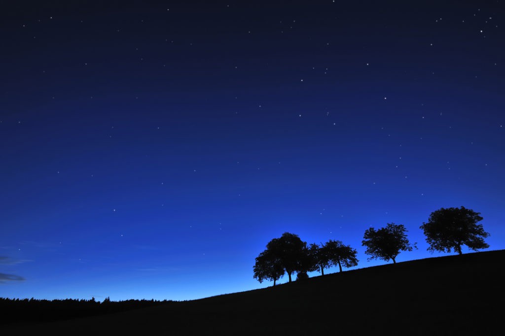 A silhouette of trees on a hillside under a deep blue, starry night sky.