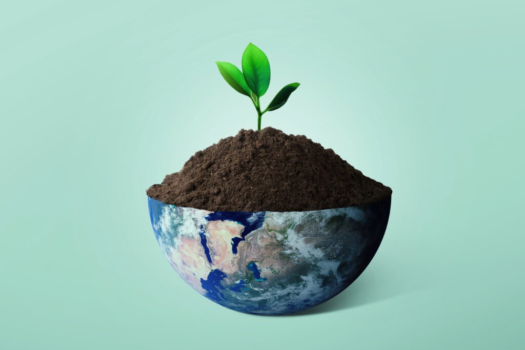 Half of the planet Earth with soil and growing sprouts