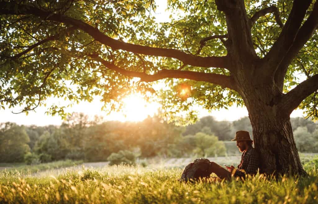 Side view of bearded man with backpack sitting under tree and browsing smartphone while resting during trip in nature